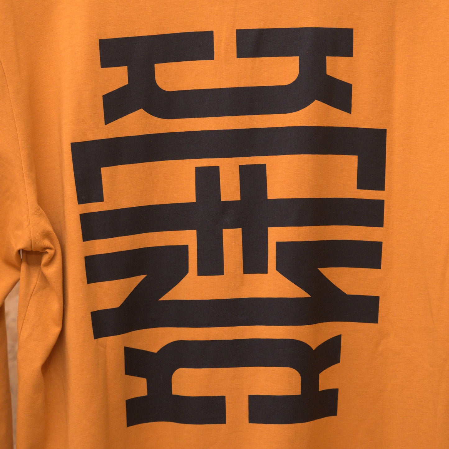 Camiseta Manga Larga KLFNK KIDS