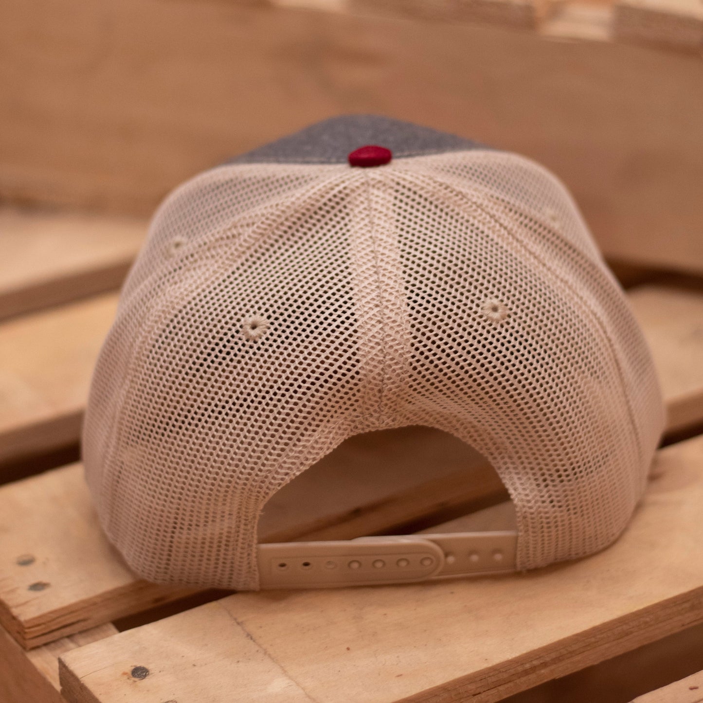 Gorra trucker tricolor